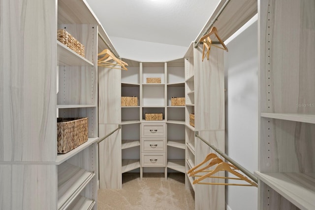 4121 W San Nicholas St, Tampa, FL 33629 - walk in closet with carpet flooring