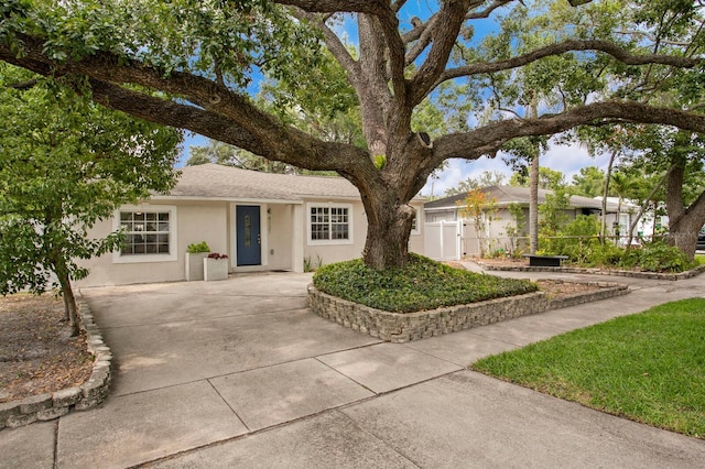 4121 W San Nicholas St, Tampa, FL 33629 - ranch-style house with stucco siding, driveway, and a shingled roof