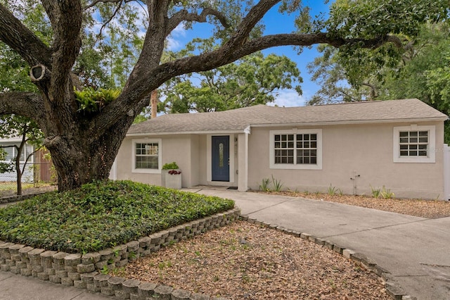 4121 W San Nicholas St, Tampa, FL 33629 - single story home featuring stucco siding