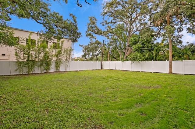 4121 W San Nicholas St, Tampa, FL 33629 - view of yard
