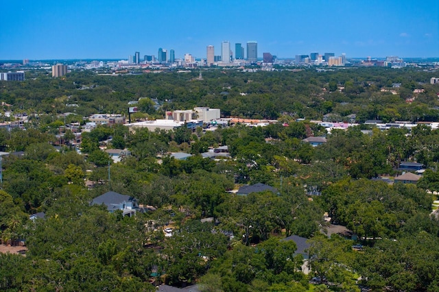 4121 W San Nicholas St, Tampa, FL 33629 - aerial view of city skyline