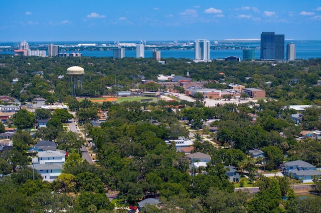 4121 W San Nicholas St, Tampa, FL 33629 - view of urban area featuring a large body of water and a tree filled landscape