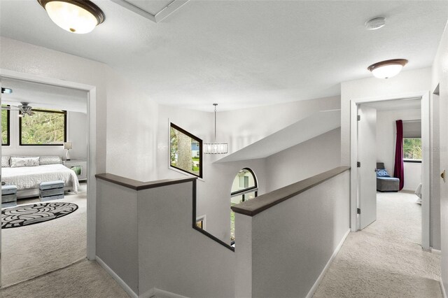 1139 43rd Ave N, Saint Petersburg, FL 33703 - photo 16