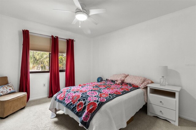 1139 43rd Ave N, Saint Petersburg, FL 33703 - photo 23