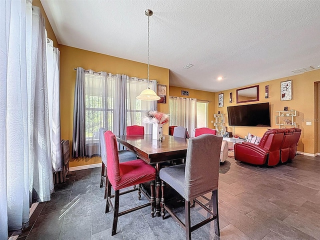 4916 Rolling Green Dr, Wesley Chapel, FL 33543 - dining area with plenty of natural light, a textured ceiling, and baseboards