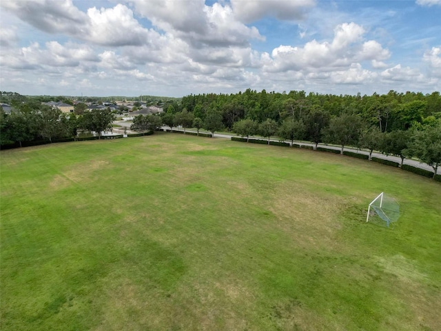 4916 Rolling Green Dr, Wesley Chapel, FL 33543 - view of yard