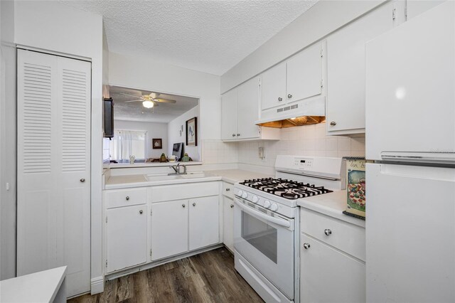 2928 Feather Dr, Clearwater, FL 33759 - kitchen with white appliances, under cabinet range hood, a sink, a textured ceiling, and dark wood-type flooring