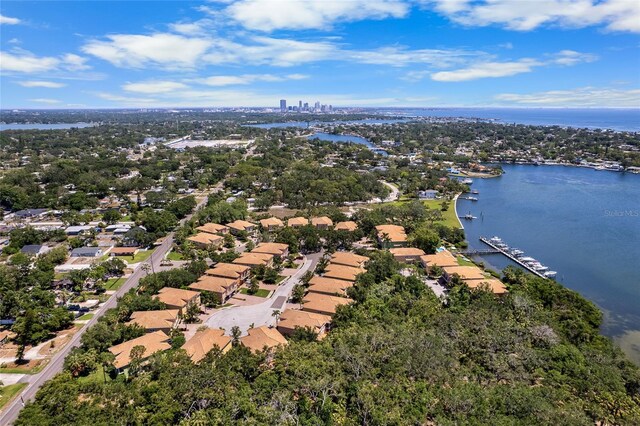 191 Banyan Bay Dr, Saint Petersburg, FL 33705 - photo 50