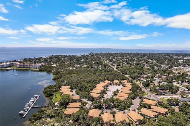 191 Banyan Bay Dr, Saint Petersburg, FL 33705 - photo 51