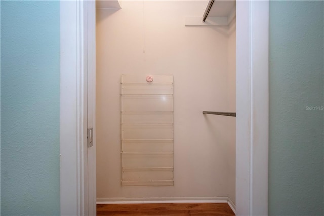 1009 Andover Cir, Sun City Center, FL 33573 - walk in closet featuring wood finished floors