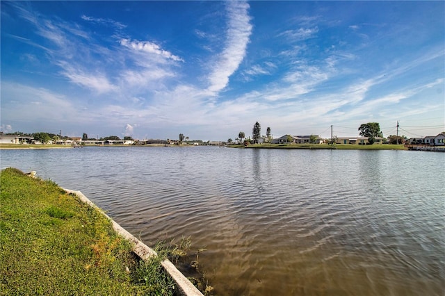 1009 Andover Cir, Sun City Center, FL 33573 - water view