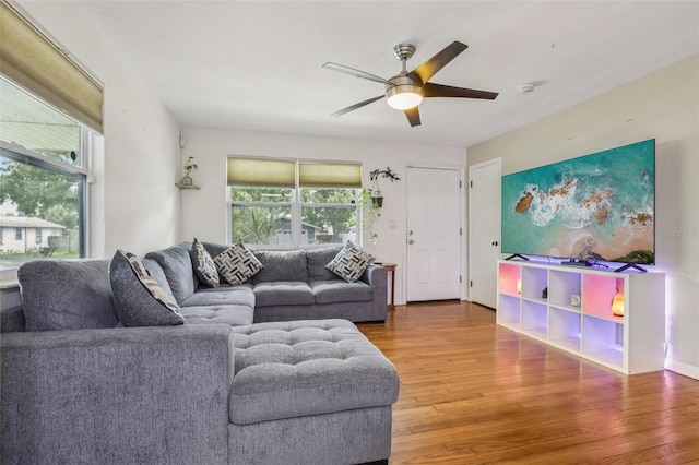 1015 13th Ave NW, Largo, FL 33770 - living room with wood finished floors, healthy amount of natural light, and a ceiling fan