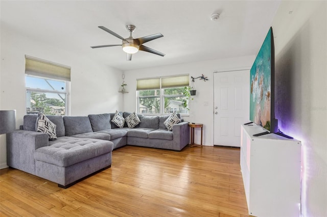1015 13th Ave NW, Largo, FL 33770 - living area with plenty of natural light, a ceiling fan, and light wood-type flooring