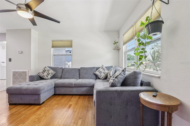 1015 13th Ave NW, Largo, FL 33770 - living room with light wood-type flooring and ceiling fan