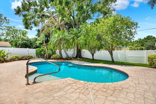 15108 Springview St, Tampa, FL 33624 - view of pool with a patio area and a fenced backyard