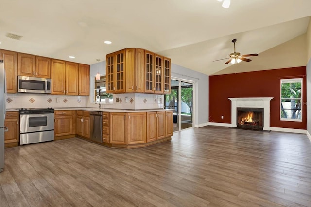 15108 Springview St, Tampa, FL 33624 - kitchen with stainless steel appliances, ceiling fan, open floor plan, dark wood-style flooring, and lofted ceiling