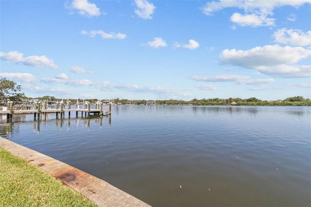 1238 Monterey Blvd NE, Saint Petersburg, FL 33704 - dock area with a water view