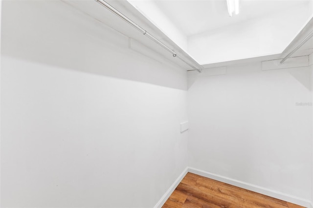 509 Falmouth St, Temple Terrace, FL 33617 - spacious closet with wood finished floors