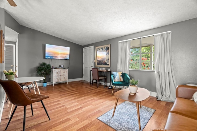 4150 Pecos Dr, New Port Richey, FL 34653 - living area with lofted ceiling, a textured ceiling, light wood-style floors, and baseboards