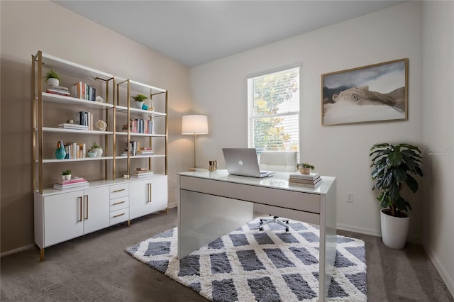 12697 Achasta Blvd, Hudson, FL 34669 - carpeted office with baseboards