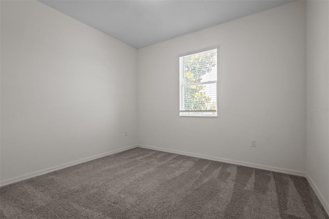 12697 Achasta Blvd, Hudson, FL 34669 - spare room featuring carpet floors and baseboards