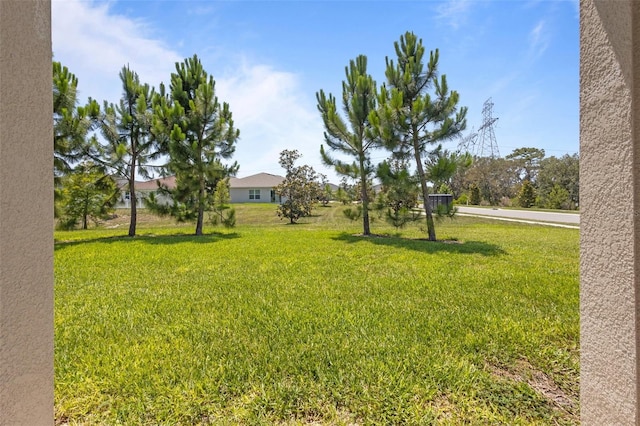 12697 Achasta Blvd, Hudson, FL 34669 - view of green lawn