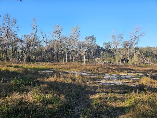 359 Savannah Oaks Dr, Brooksville, FL 34602 - photo 5