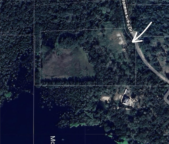 359 Savannah Oaks Dr, Brooksville, FL 34602 - photo 14
