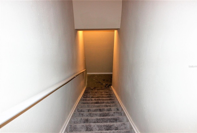 13235 Sanctuary Cove Dr Unit 201, Temple Terrace, FL 33637 - stairway featuring carpet and baseboards