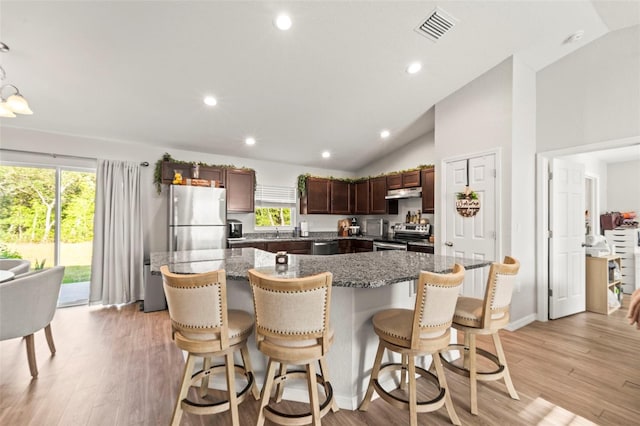8009 N Primrose Dr, Citrus Springs, FL 34434 - kitchen featuring stainless steel appliances, vaulted ceiling, under cabinet range hood, a kitchen breakfast bar, and light wood-type flooring