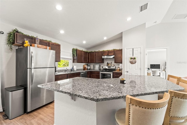 8009 N Primrose Dr, Citrus Springs, FL 34434 - kitchen featuring appliances with stainless steel finishes, lofted ceiling, light wood-style floors, a kitchen bar, and under cabinet range hood