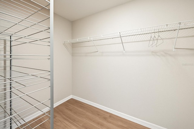 8009 N Primrose Dr, Citrus Springs, FL 34434 - walk in closet with wood finished floors