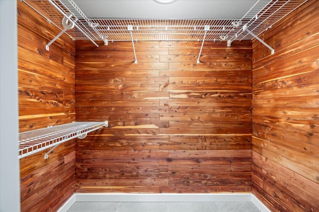 2900 Sandpiper Pl, Clearwater, FL 33762 - view of walk in closet