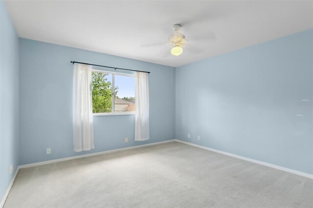 10205 Deercliff Dr, Tampa, FL 33647 - photo 48