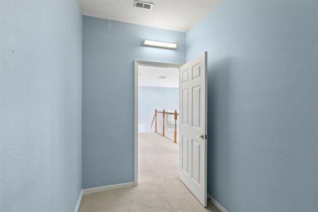 10205 Deercliff Dr, Tampa, FL 33647 - photo 58