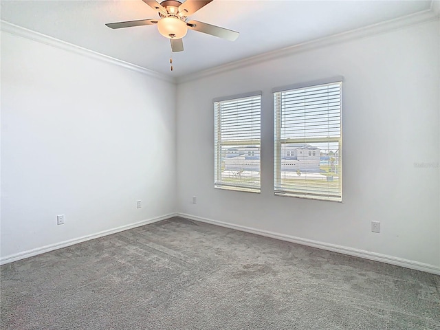 31771 Blue Passing Loop, Wesley Chapel, FL 33545 - empty room featuring carpet flooring, ornamental molding, ceiling fan, and baseboards