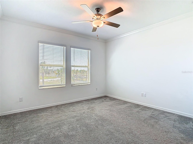 31771 Blue Passing Loop, Wesley Chapel, FL 33545 - spare room with crown molding, carpet flooring, ceiling fan, and baseboards