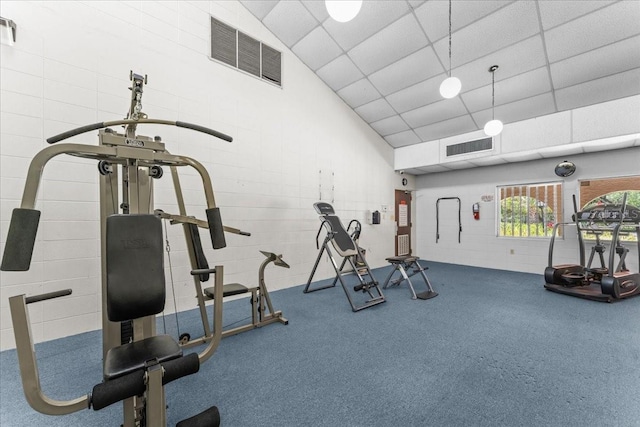 2630 Pearce Dr Unit 108, Clearwater, FL 33764 - exercise room featuring high vaulted ceiling