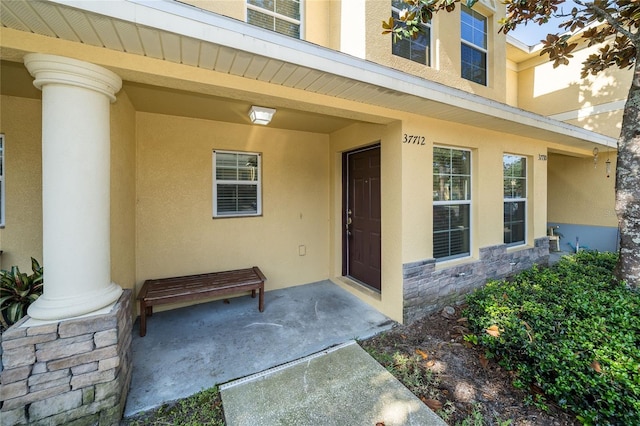 37712 Aaralyn Rd, Zephyrhills, FL 33542 - doorway to property featuring stucco siding and stone siding