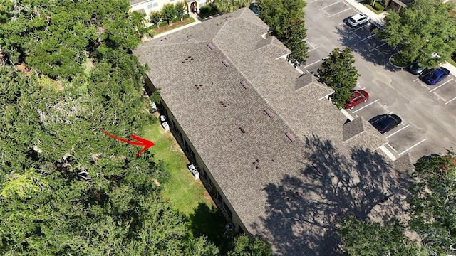 37712 Aaralyn Rd, Zephyrhills, FL 33542 - view from above of property