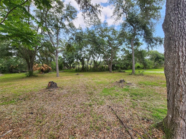 4635 S Worldwide Dr, Inverness, FL 34450 - photo 4