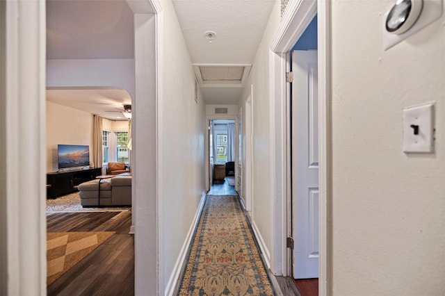 2519 1st Ave N, Saint Petersburg, FL 33713 - hall featuring dark wood finished floors