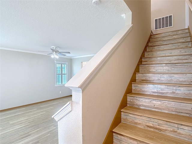 11291 Cay Spruce Way, San Antonio, FL 33576 - photo 27