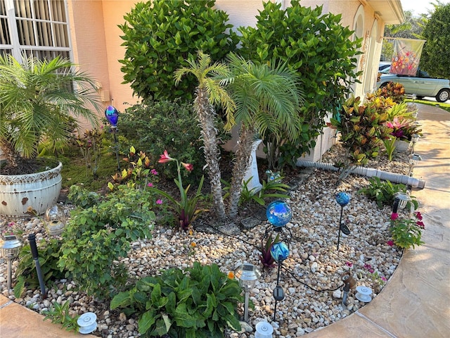 13339 Amberwood St, Hudson, FL 34669 - view of yard