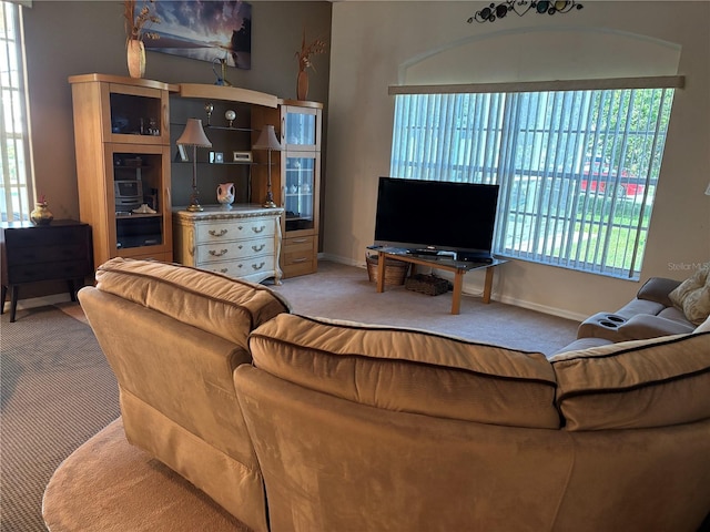 13339 Amberwood St, Hudson, FL 34669 - living room with carpet floors, plenty of natural light, and baseboards