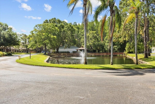 7633 Piping Rock Ct Unit 7633, New Port Richey, FL 34654 - view of property's community featuring a water view and a lawn
