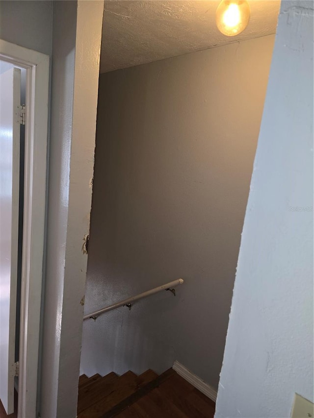 7168 E Bank Dr Unit 7168, Tampa, FL 33617 - staircase featuring wood finished floors