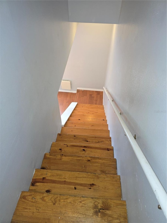 7168 E Bank Dr Unit 7168, Tampa, FL 33617 - staircase featuring hardwood / wood-style floors