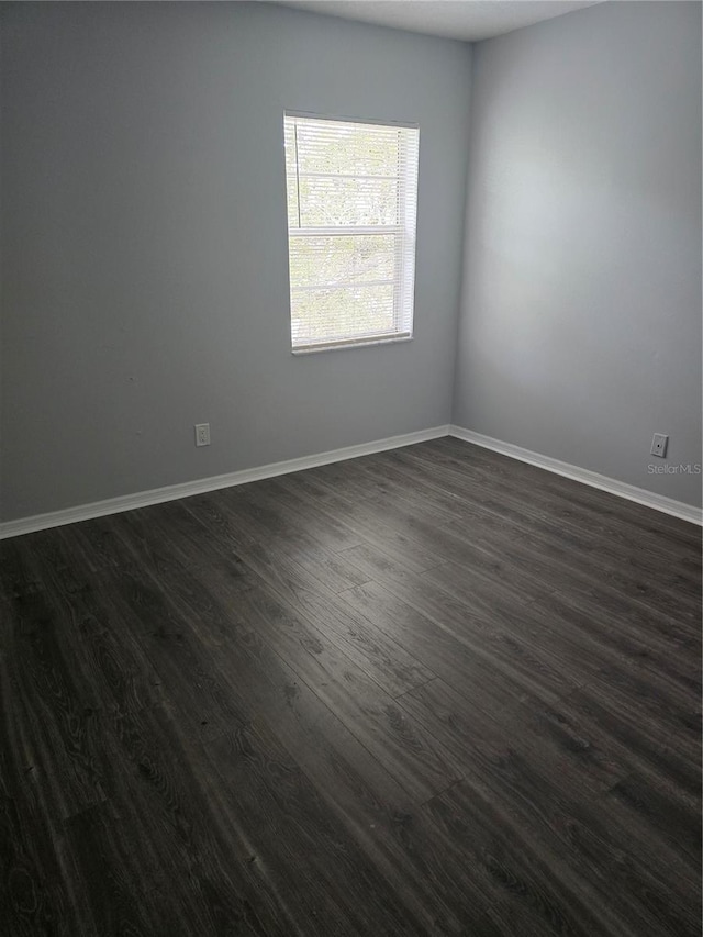 7168 E Bank Dr Unit 7168, Tampa, FL 33617 - photo 13