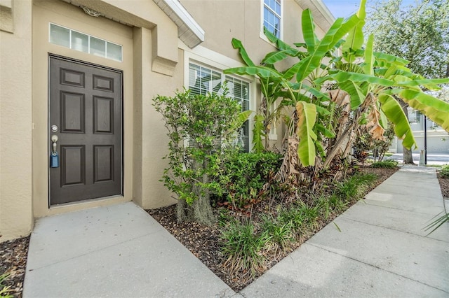 6736 Breezy Palm Dr, Riverview, FL 33578 - doorway to property with stucco siding